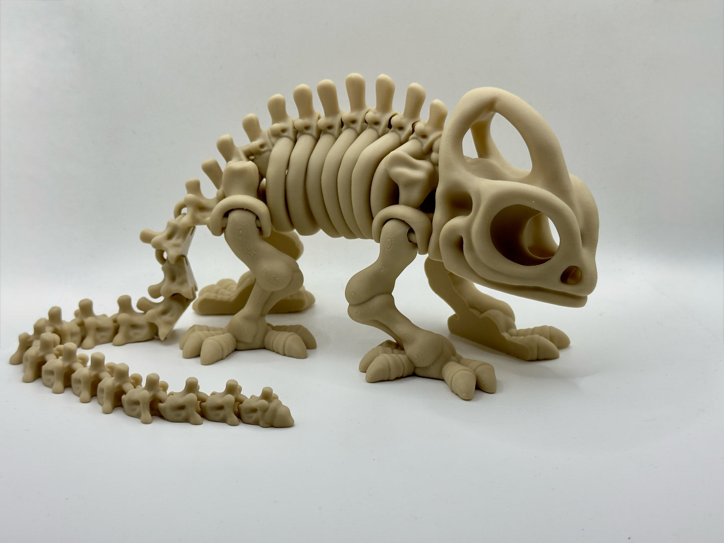 Chameleon Skeleton￼