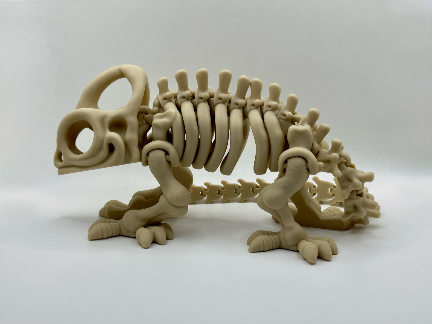 Chameleon Skeleton￼